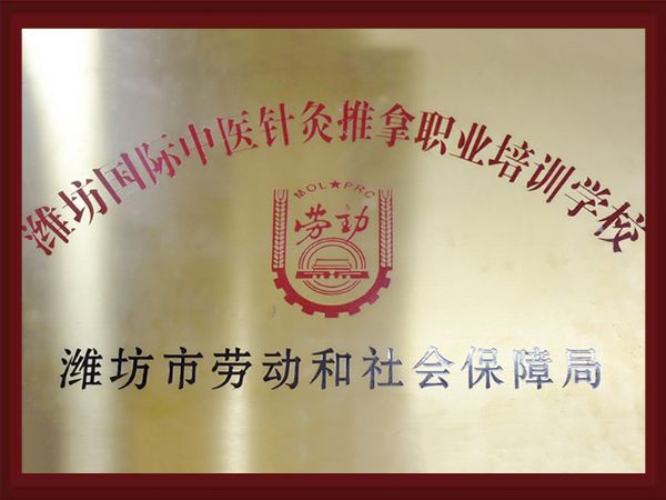 人社部授權濰坊國際中醫(yī)針灸推拿職業(yè)培訓學校